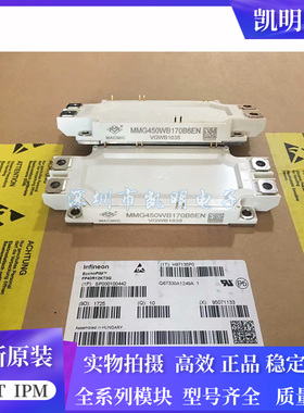 MMG450WB170B MMG450WB170B6EN MMG600WB170B6EN MMG300WB170B 新