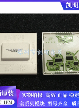 SKHI22AH4R SKHI22AR SKHI21AR SKHI10/17R SKHI10/12R SKHI22A询