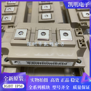 全新 PM300RLA060 PM300RL1A060 PM200CLA060 PM300CL1A060议价
