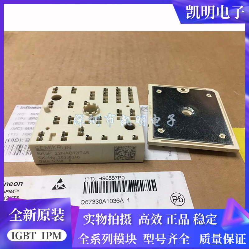 SKIIP22NAB12T18 SKIIP22NAB12T17 SKIIP22NAB12IT45 SKIIP20NAB - 实物图