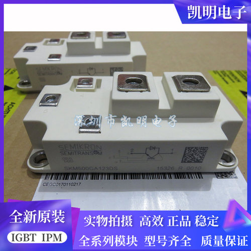 SKM400GA123D SKM500GA123D SKM500GA123DS SKM500GA124D现货