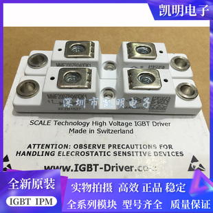 MMF200ZB040DK1 MMF300Y060DK1C MMF800Y020DK1 MMF400Y040DK1