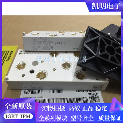 SKIIP83AC12IT1 SKIIP82AC12IT1 SKIIP81AC12IT1 SKIIP83EC125T1