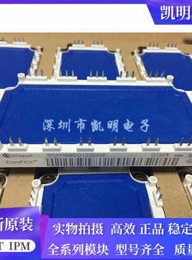 BSM75GD120DLC BSM75GD120DN2 BSM100GD120DN2 BSM100GD60DLC