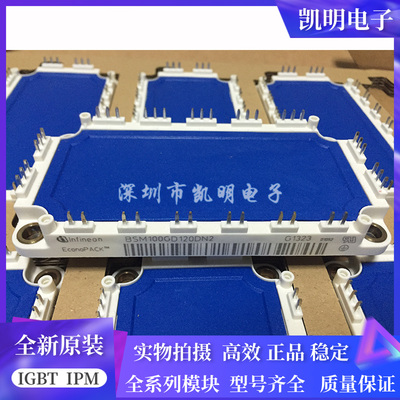 BSM75GD120DLC BSM75GD120DN2 BSM100GD120DN2 BSM100GD60DLC