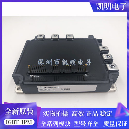 PM150RSE120 PM100RSE120 PM300RSD060 PM200RSE060 PM150CSD120