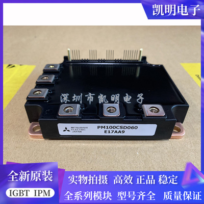 全新原装现货PM300CSD060 PM200CSD060 PM150CSD060 PM100CSD060
