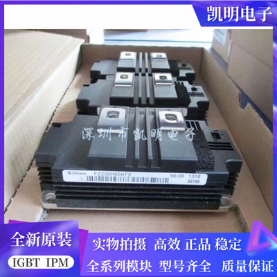 全新FZ200R65KF2 FZ250R65KE3 FZ400R65KF2 FZ600R65KF2/-P1-S3