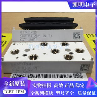SKIIP83AC128IT1 SKIIP83AC12IT1 SKiIP82AC121T1 SKIIP82AC128IS