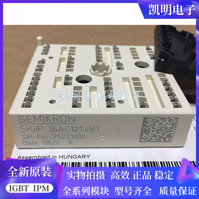 SKIIP25AC126V1 SKIIP23AC126V1 SKIIP24AC126V1 SKIIP26AC12T4V1