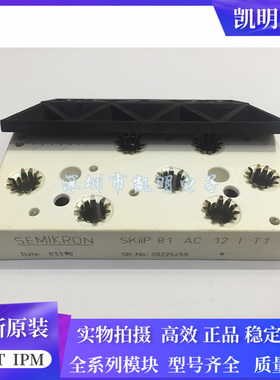 SKIIP83AC12IT1 SKIIP82AC12IT1 SKIIP81AC12IT1 SKIIP83EC125T1