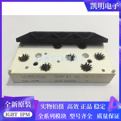 SKIIP83AC12IT1 SKIIP82AC12IT1 SKIIP81AC12IT1 SKIIP83EC125T1