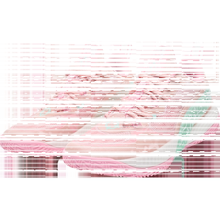 AR切磋2丨准者里弗斯同款篮球鞋男缓震低帮鞋子专业实战运动鞋