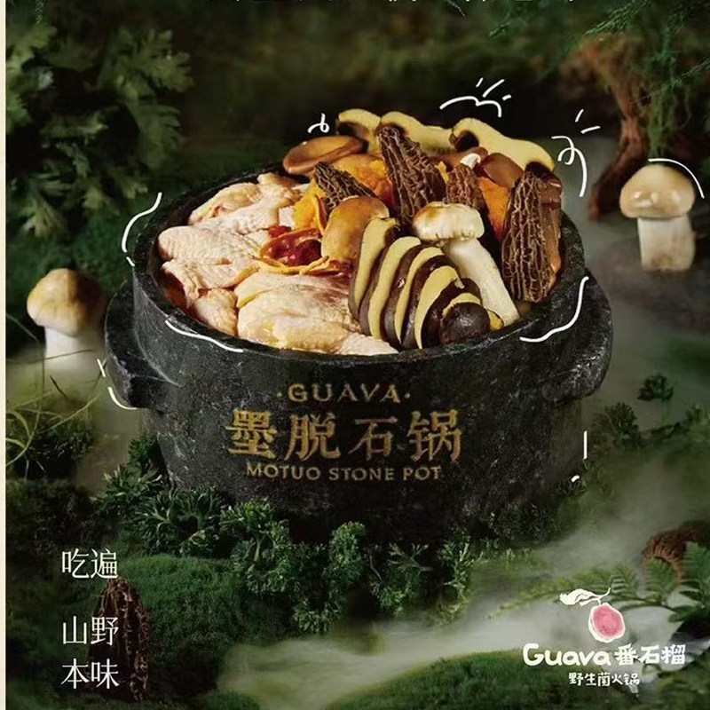云南菜墨脱石锅野生菌配专用电磁炉酒店餐饮店可定制LOGO火锅店用