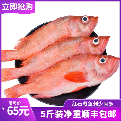 大眼红鱼多少钱 大眼红鱼价格 小麦优选