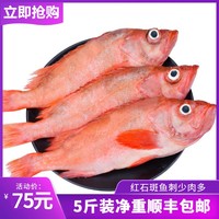 紅石斑魚冷凍整條紅魚海鮮水產(chǎn)