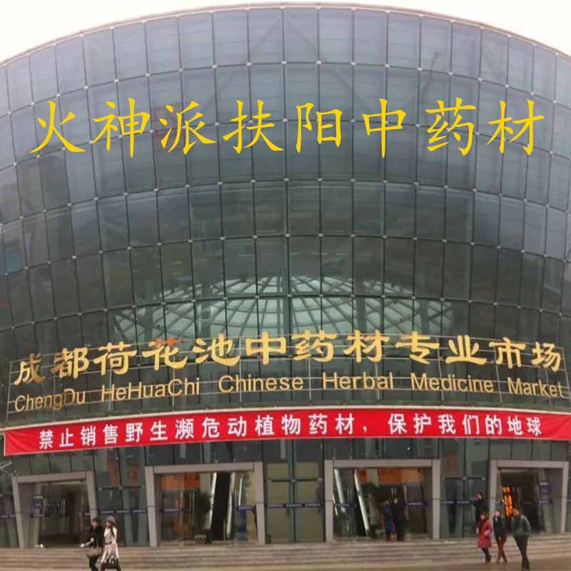 火神派扶阳中药江油特产四逆汤经方药材郑卢医学炮片蒸片魔芋片粉