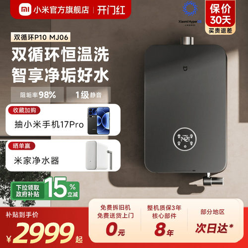 小米官旗米家智能净垢双循环燃气热水器P10家用天然气恒温MJ06