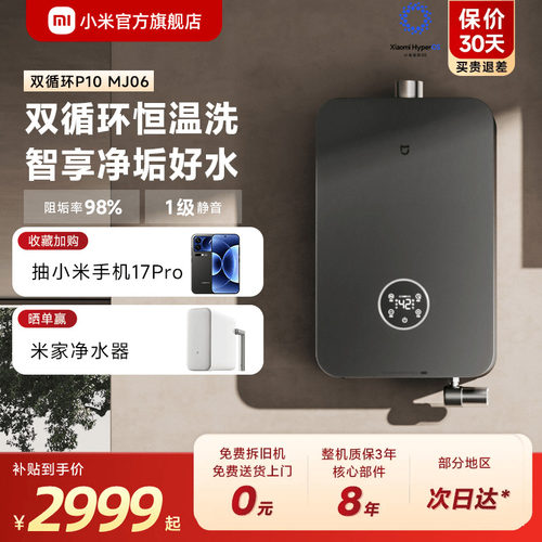 小米官旗米家智能净垢双循环燃气热水器P10家用天然气恒温MJ06