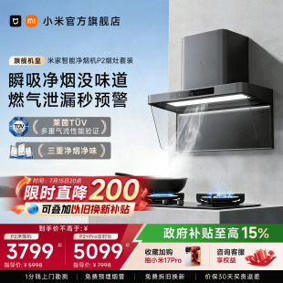 净烟机P2套装 小米米家抽油烟机燃气灶一套大吸力烟机灶具旗舰店