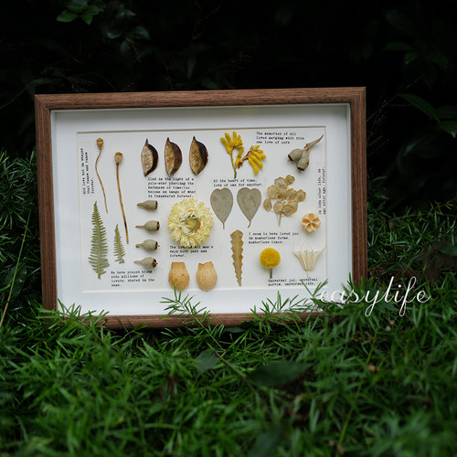 复古植物标本相框摆台客厅墙