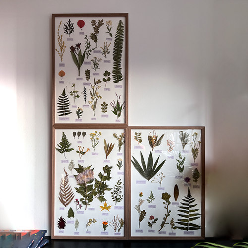 植物标本装饰画干花挂画悬挂沙发