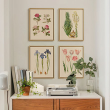 上品印画 霍茨植物7幅 简美客厅餐厅装饰画墙壁画挂画墙画墙面
