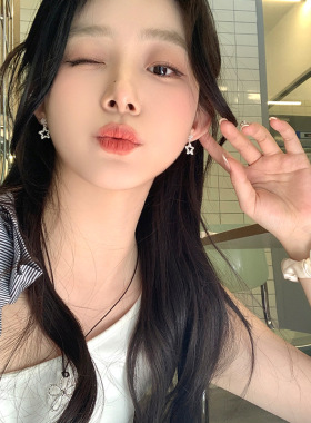 韩系爆闪锆石简约精致星星耳钉女轻奢高级感耳环气质大气耳饰耳夹