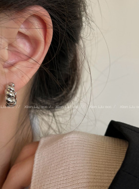韩国s925银针麻花牛角包耳扣2024年新款潮耳环ins小众设计感高级