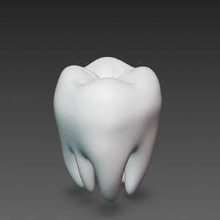牙齿模型建模定制三维模型牙齿模型738