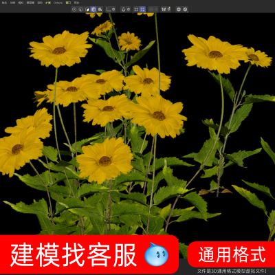 3784菊花模型建模精雕植物桑菊模型建模建模花模型菊花建模精雕