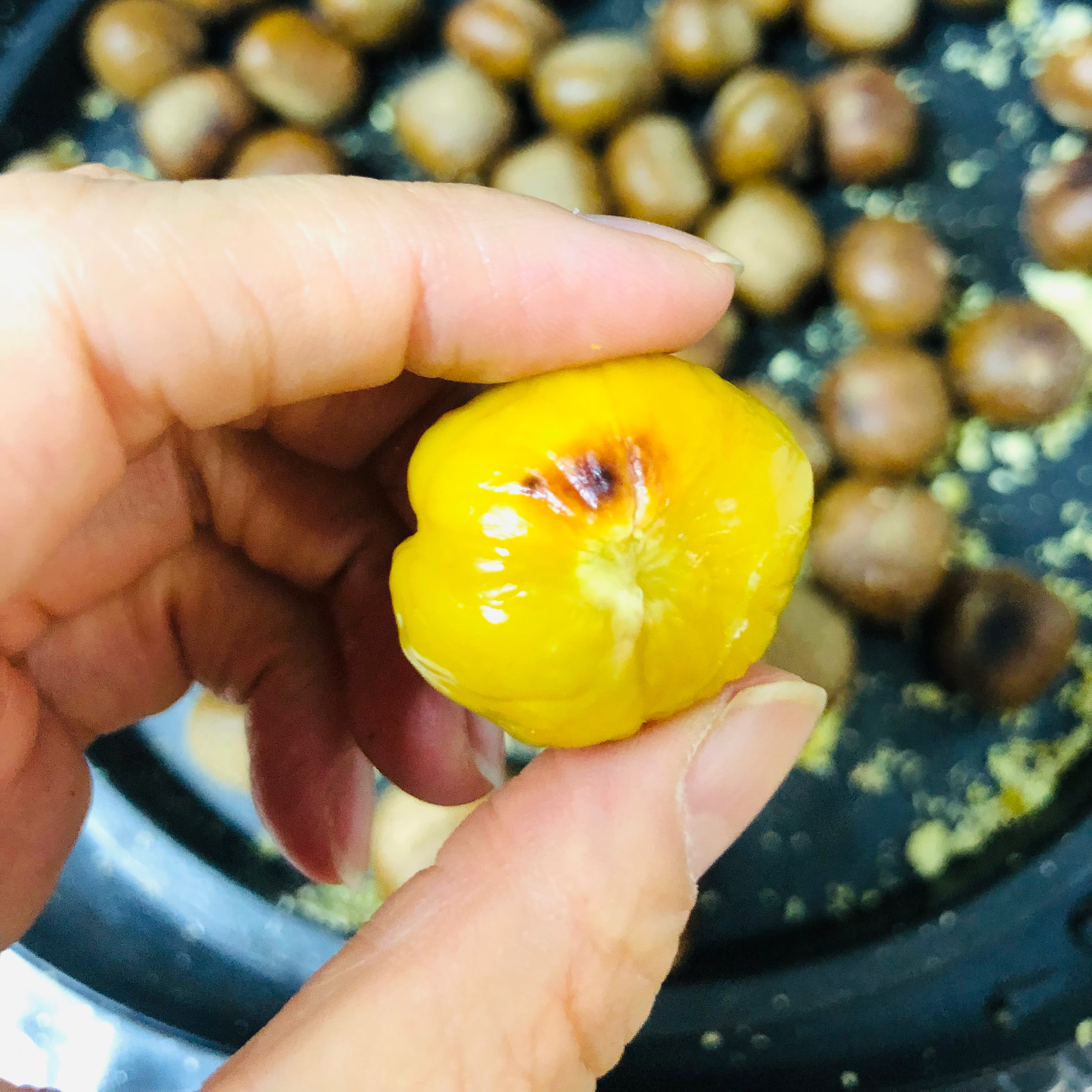 正宗河北迁西板栗绘甜燕山早丰新鲜栗子甘甜软糯香好吃宝宝辅食