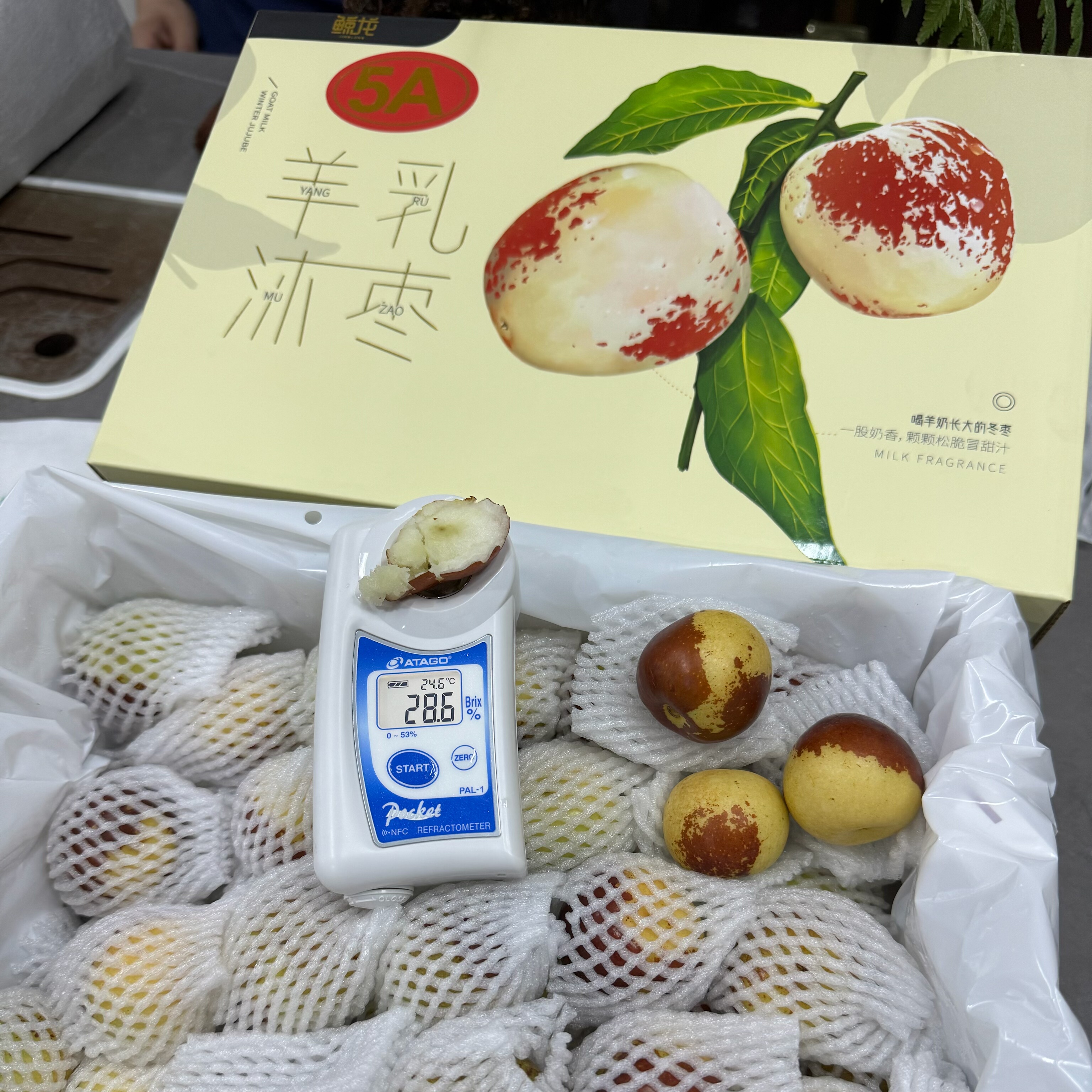 山东鲸龙羊乳沐枣短枝二代脆甜冬枣爽口多汁高糖度2斤礼盒装好吃