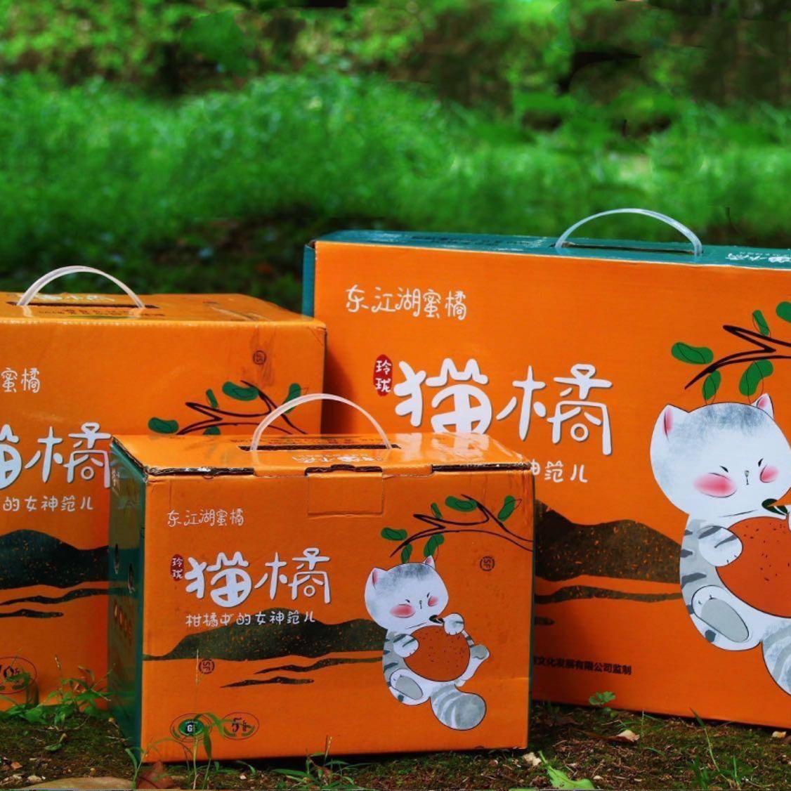 玲珑猫橘湖南东江湖蜜橘清江湖边高品质桔子新鲜嫩甜多汁化渣礼盒