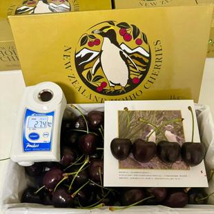 现货 新西兰中奥塔哥黄眼金眼企鹅科迪亚kordia科维奇车厘子2斤甜