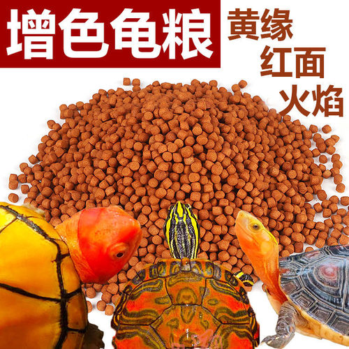 乌龟饲料龟粮火焰龟黄缘
