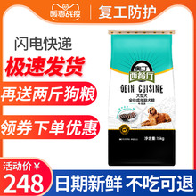 奥丁西餐厅15kg拉布拉多金毛大型犬1