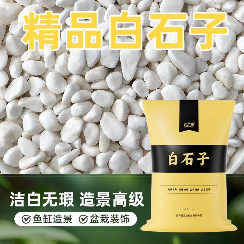 鹅卵石天然雨花石小白石子多肉铺面石盆栽盆养花水培白色石头50斤,鲜花速递/花卉仿真/绿植园艺,土壤覆盖物,淘宝优惠券,粉丝福利购,淘宝优惠卷