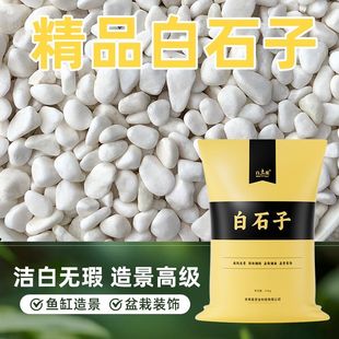 鹅卵石天然雨花石小白石子多肉铺面石盆栽盆养花水培白色石头50斤