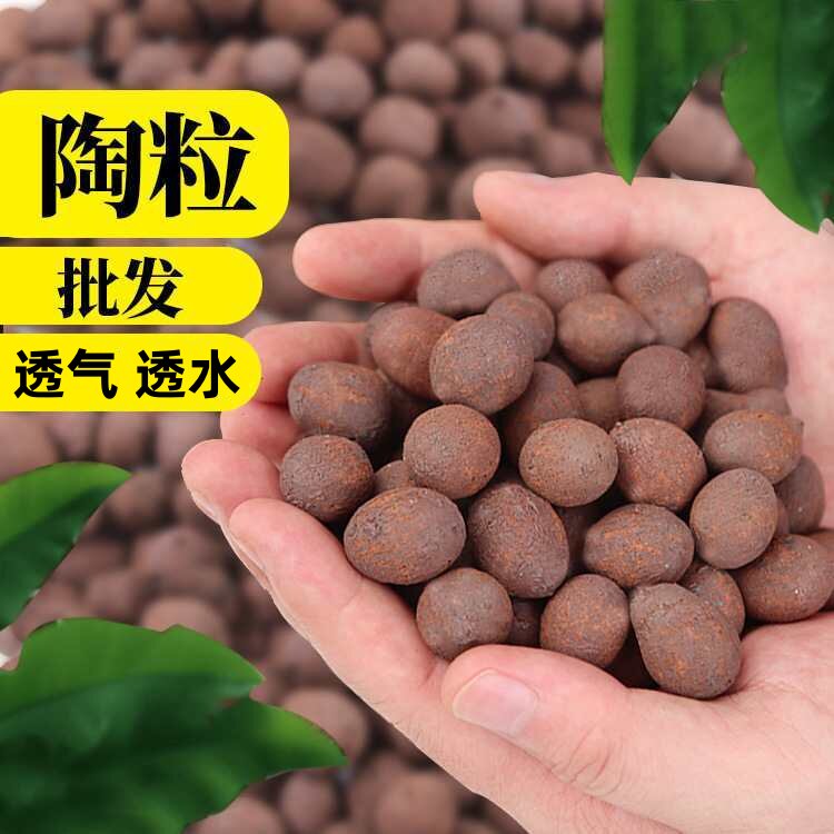 陶粒垫底养花专用陶粒防烂根透气陶土颗粒大陶粒大号养花陶粒回填