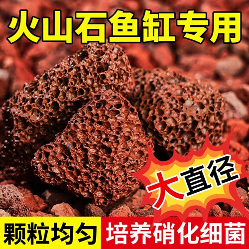 火山石鱼缸专用水族养鱼火山石多肉专用颗粒土精筛火山石乌龟专用