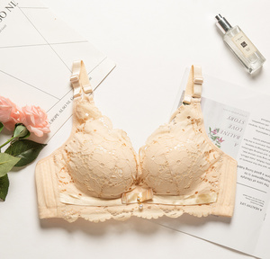 天天特价胸罩无钢圈文胸聚拢小胸性感内衣女无钢圈厚款上托收副乳