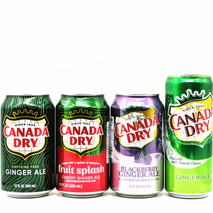 Ale原装 Ginger 进口生姜味可乐型碳酸饮料干姜水汽水 Dry Canada