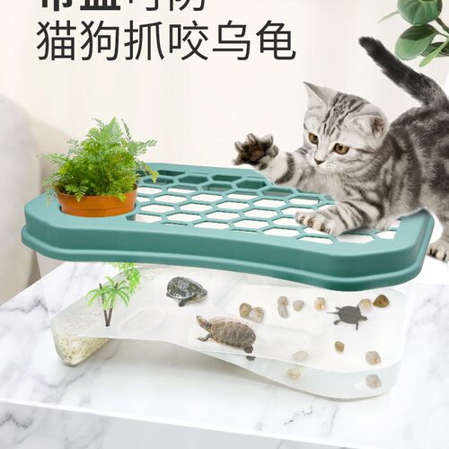 带盖乌龟缸小乌龟生态缸养殖缸家用大型饲养缸专用缸养龟箱大龟盆