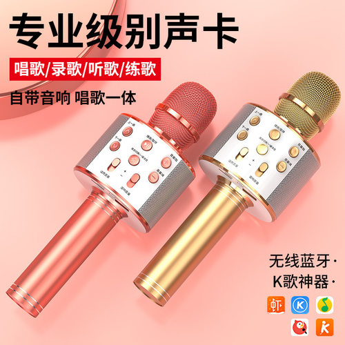 跨境热卖WS-858无线手机蓝牙K歌电容儿童麦克风唱歌一体音响话筒