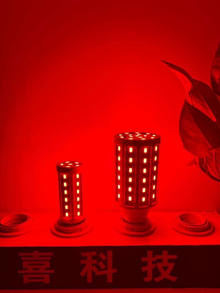 超亮led红光灯笼灯泡红色玉米灯喜宴婚庆氛围植物生长猪肉生鲜灯