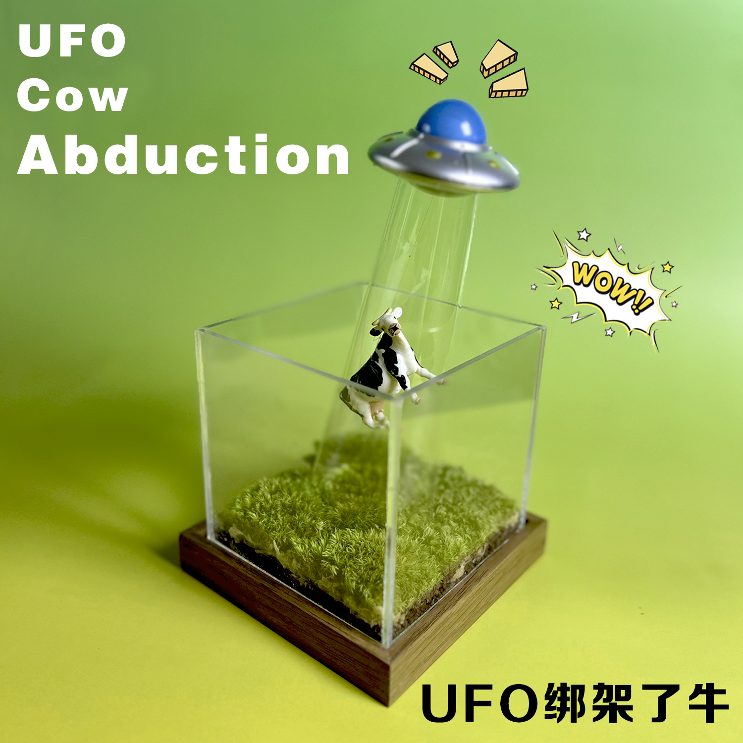 苔藓微景观 UFO绑架了牛 外星人偷牛 简单好养趣味植物送人礼物