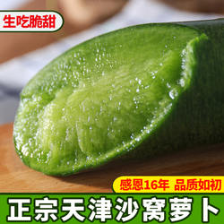 天津沙窝萝卜正宗水果萝卜生吃脆甜型青萝卜新鲜绿色即食蔬菜现拔