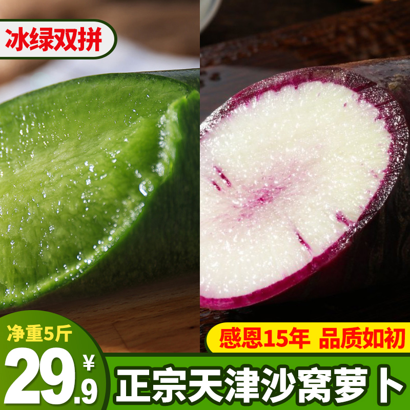 沙窝林子脆甜多汁水果萝卜现拔