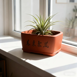 宜兴金牌卖家送托盘紫砂古韵小型花盆马槽长方形六方四方盆景绿萝